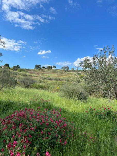Casa Country Villa Agrigento Bagian luar foto