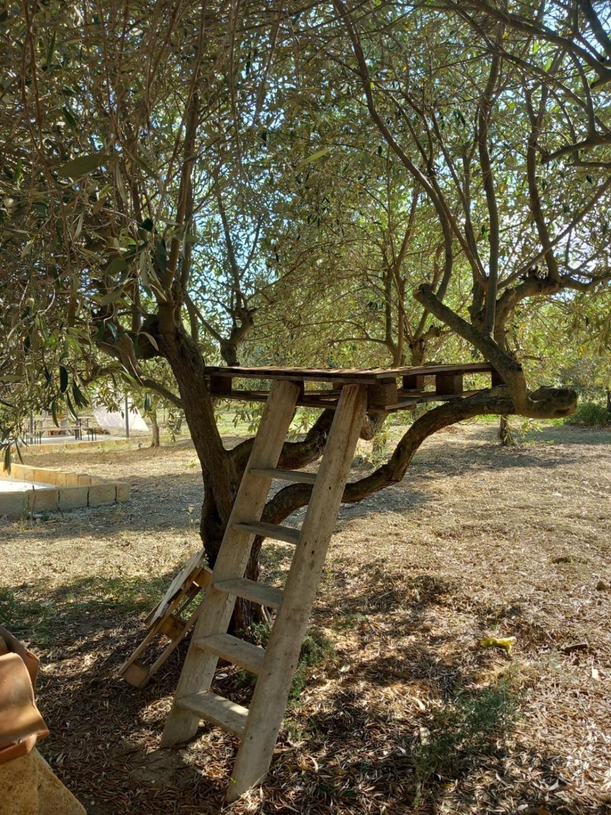 Casa Country Villa Agrigento Bagian luar foto